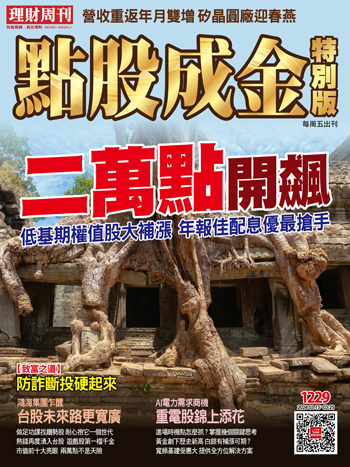 第1229期點股成金